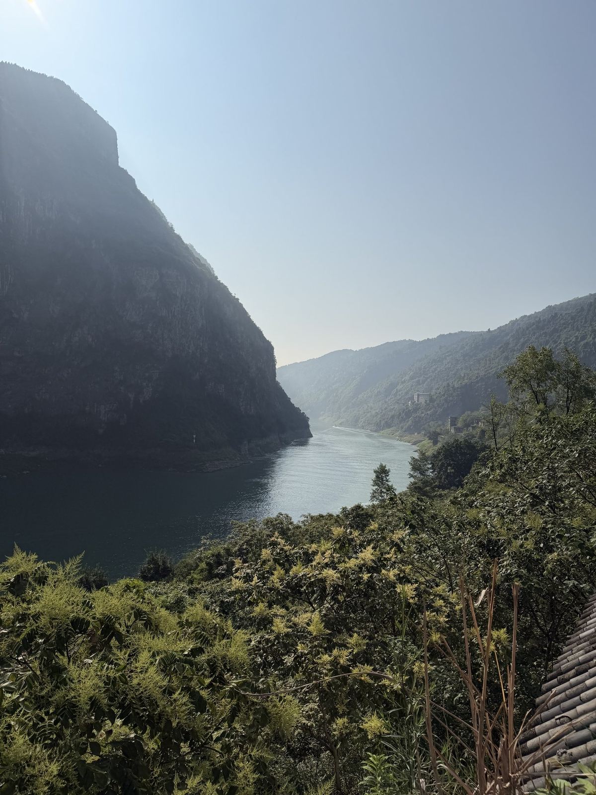 The Wu River winding between steep green mountains near Wulong